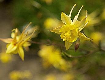 《浩劫前夕》开发博客讲述游戏变成写实风格的过程